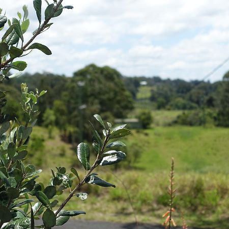 Winston Cottage Palmwoods Buitenkant foto